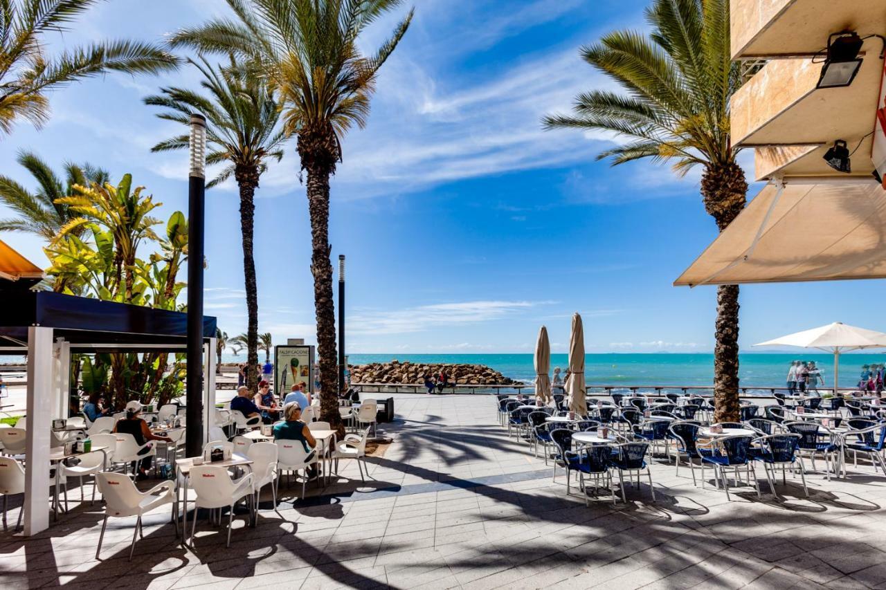 Apartment Concordia Torrevieja Dış mekan fotoğraf