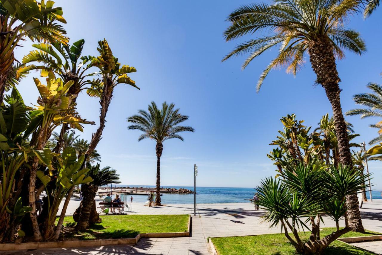Apartment Concordia Torrevieja Dış mekan fotoğraf