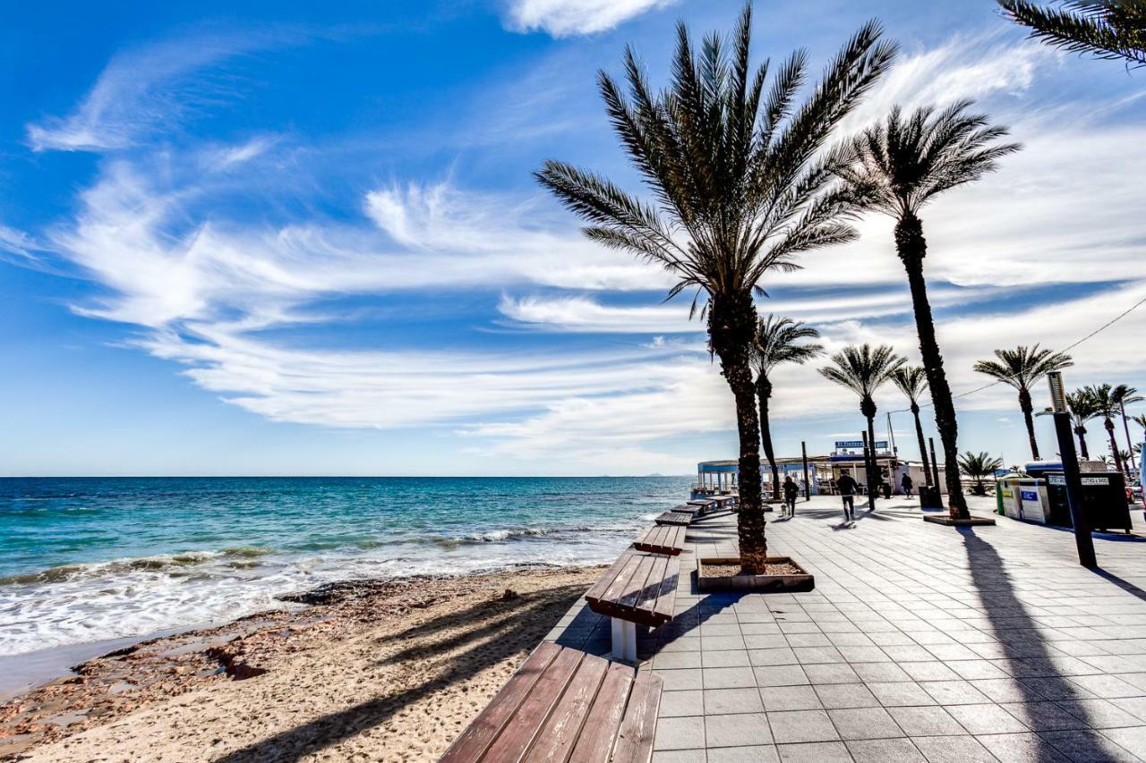 Apartment Concordia Torrevieja Dış mekan fotoğraf